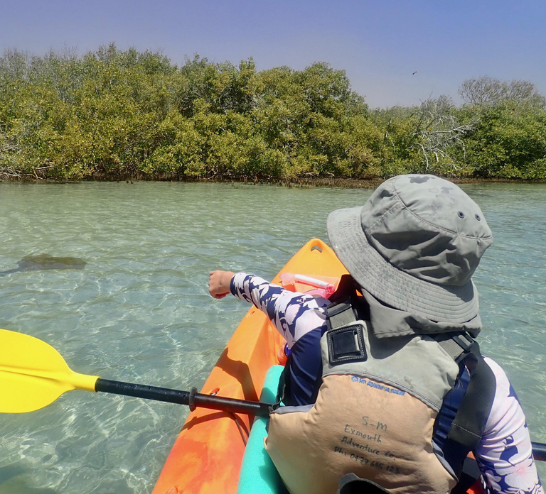 Exmouth: Half Day Turtle Kayak & Snorkel Tour