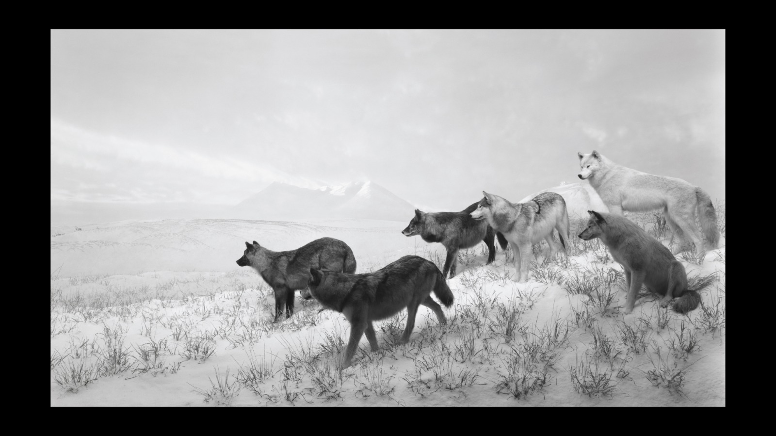 Hiroshi Sugimoto: Form Is Emptiness