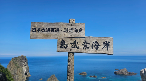 1-day tour to Cape Kamui in Hokkaido, Japan with optional pickup · Picking at Otaru Island's Takei Coast Distillery