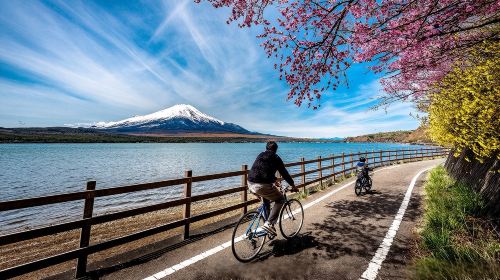 Mt. Fuji + Lake Kawaguchi + Lake Yamanaka Popular Cycling Tour (9-Seater Premium Small Group) with Optional Hotel Transfer Upgrade Day Tours