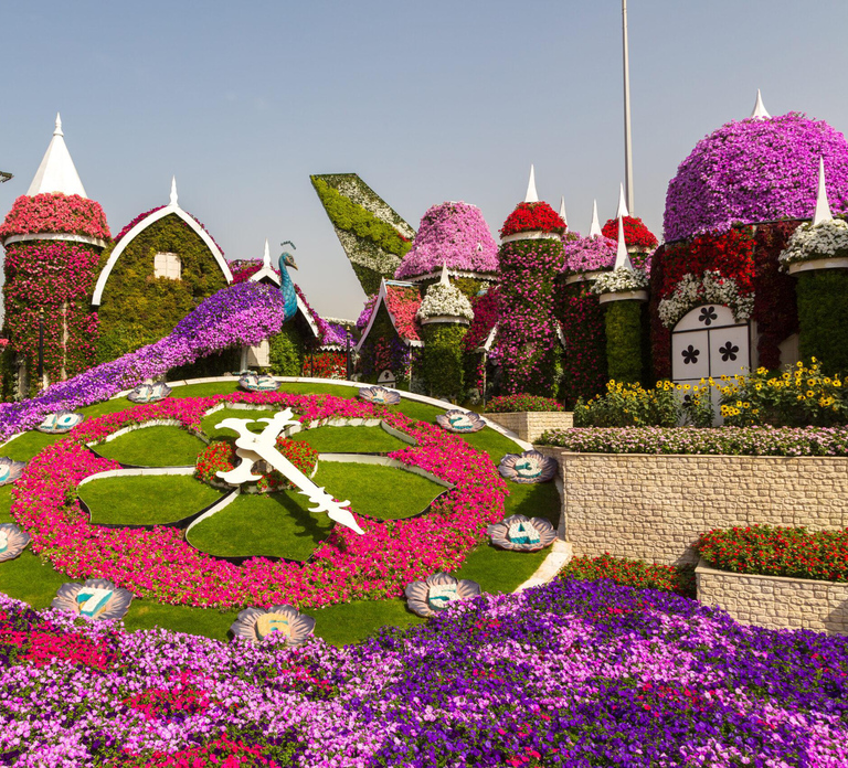 Private Dubai Frame & Miracle Garden Trip with Transfer