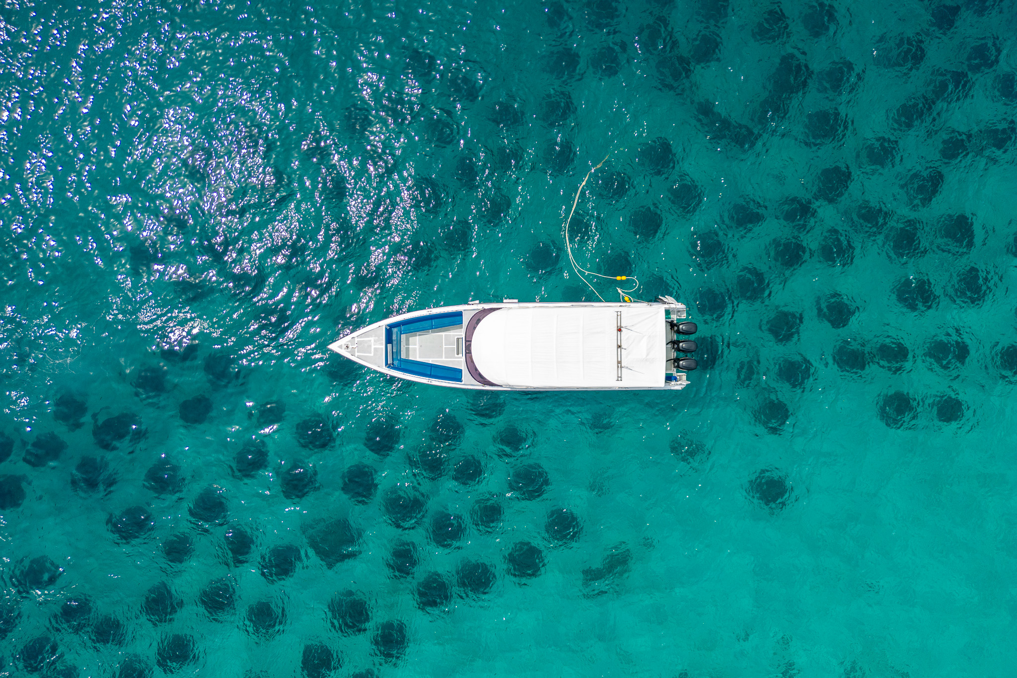 Day Trip Racha Island + Coral Island By Speedboat （皇帝岛+珊瑚岛一日游 - 白金、合金快艇）