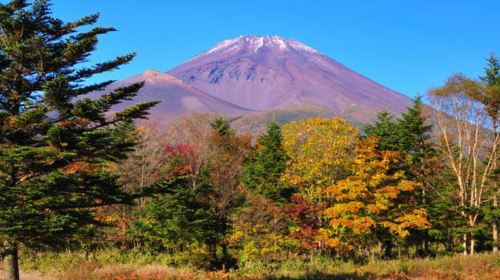 Lake Ashi Cruise Day Tours