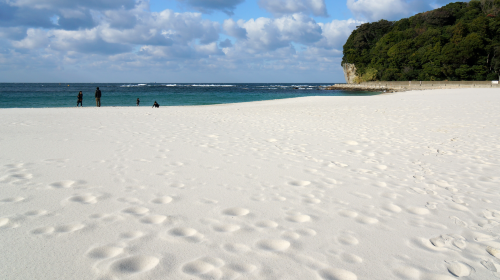 1-day tour to Shirahama beach in Wakayama – Seafood market