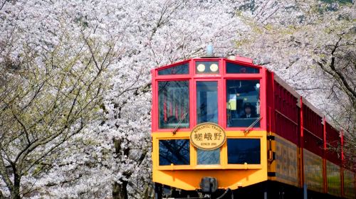 Kyoto Arashiyama Sagano Romantic Train + Hozugawa River Boat Ride (Hozugawa Kudari) + Arashiyama City Walk 1-day Tour Day Tours