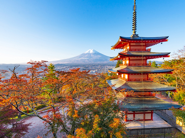 A day trip to seven popular Instagram spots around Mount Fuji