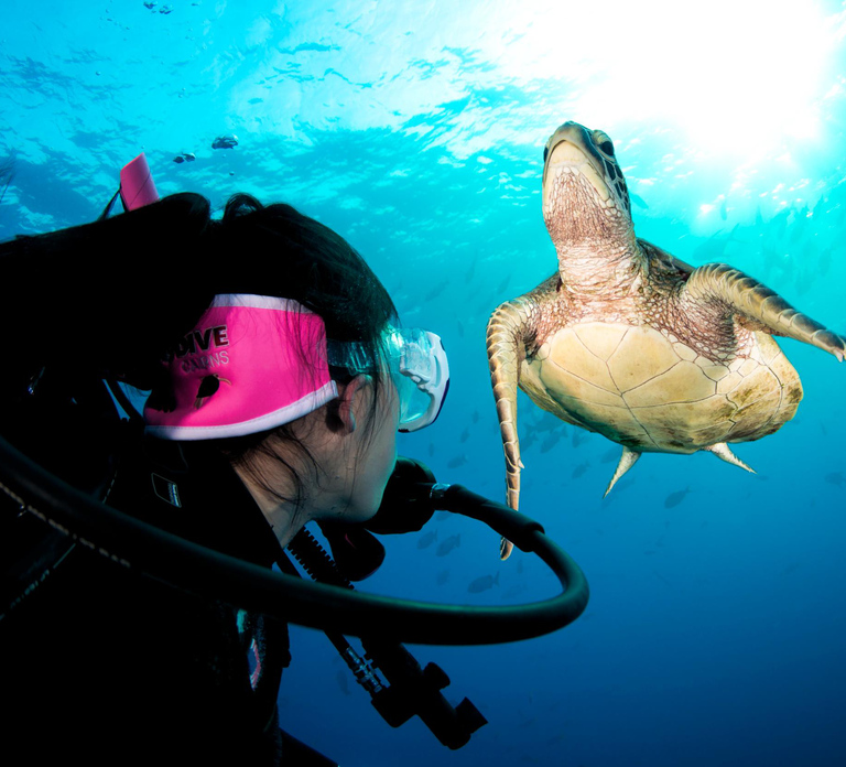 Cairns: Pro Dive 5 Day Learn to Dive Great Barrier Reef