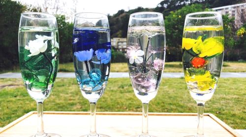Shizuoka Izu Art Experience - Sakura Slope