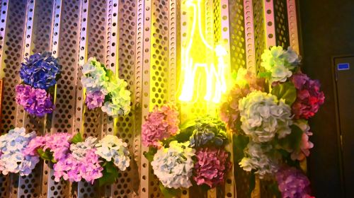 Osaka Dotonbori Night Tour – GIRAFFE NIGHTCLUB Admission Ticket