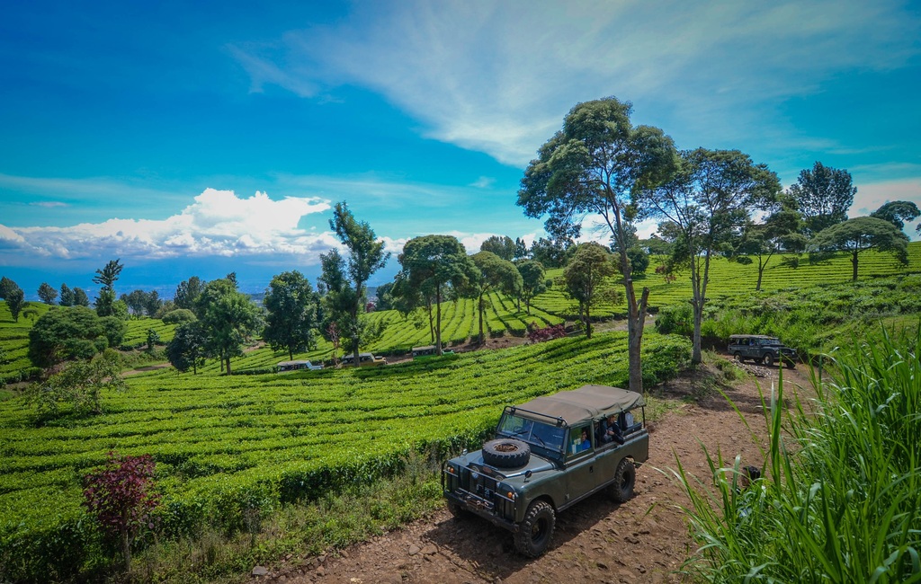 Fun Offroad Ciwidey Bandung – Land Rover Tea Plantation Adventure