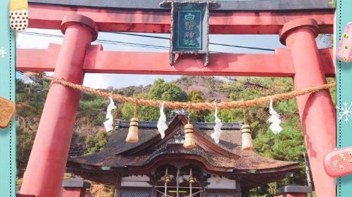 Lake Biwa Observation Deck + Shirahige Jinja Floating Torii + Mangetsu-ji Ukimido (Floating Hall) 1-Day Tour Day Tours