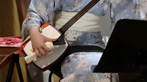 Concerts Played with Traditional Instruments in Kyoto Day Tours