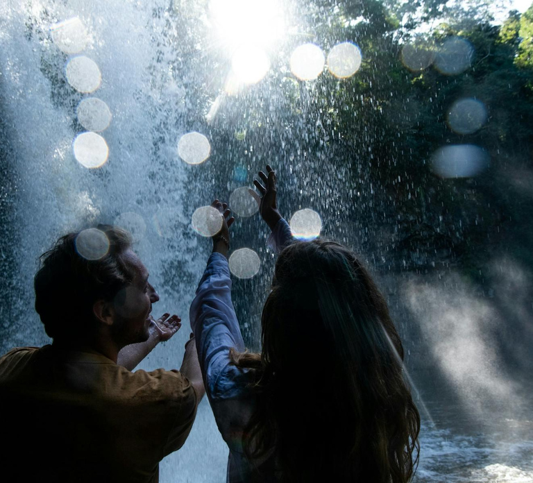 Byron Bay: Sanctuary and Waterfall Tour with Breakfast