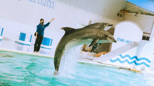 Otaru Aquarium