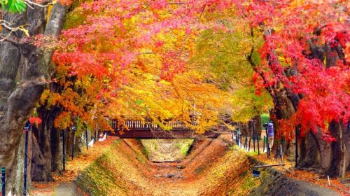 Iconic Fuji Adventure: Kawaguchiko, Stairway Town & Instagram Hotspots