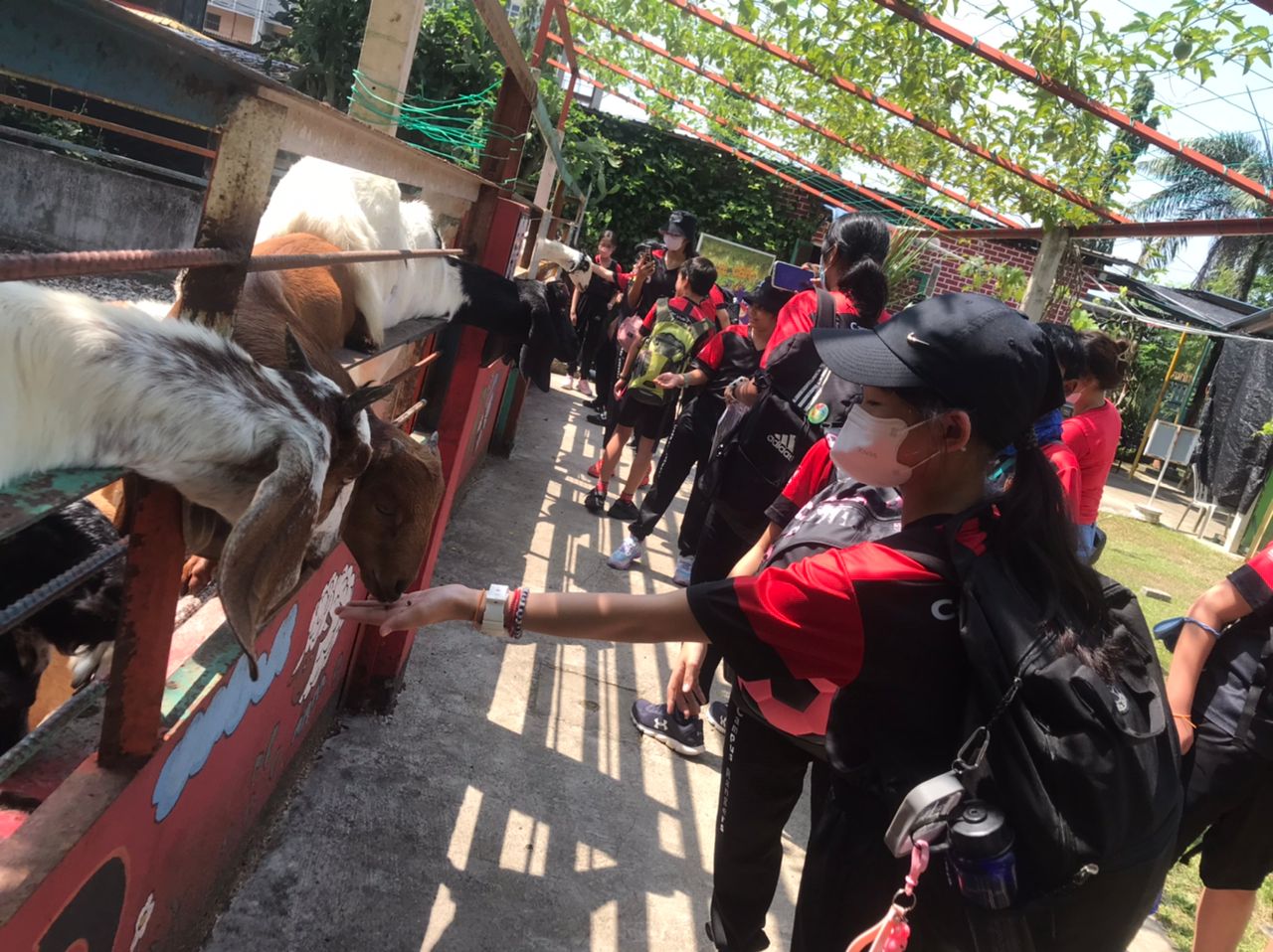 PD Ostrich Show Farm