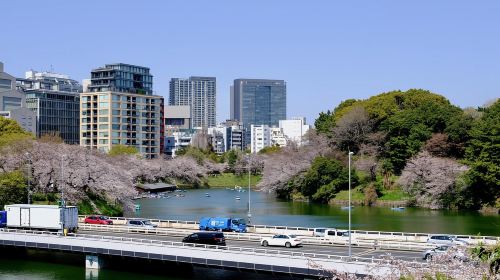 Tokyo: Open Top Panoramic Sightseeing Bus with Audio Guide Day Tours