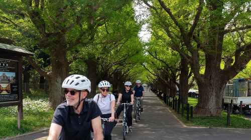 3-Hour Tokyo Private E-Bike Tour Starting from Your Hotel Day Tours