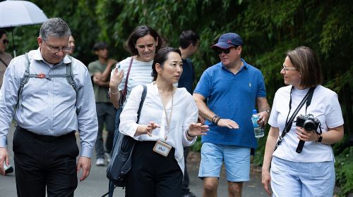 Imperial Palace East Garden and Edo Castle Walking Tour in Tokyo Day Tours