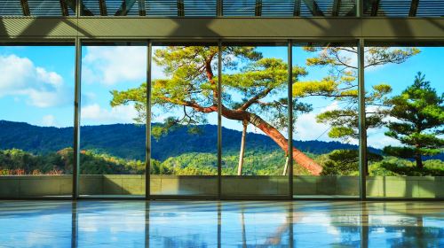 Shiga Prefecture Lake Biwa day tour