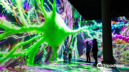 ARTECHOUSE NYC