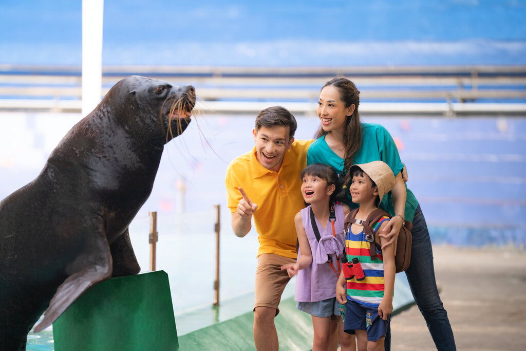 Ocean Dream Samudra at Ancol