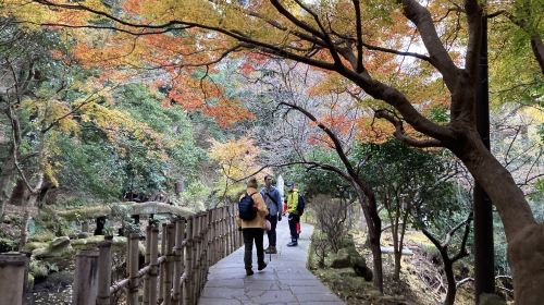 WeGuide Nokogiriyama: Guided Hiking Course Experience on the Boso Peninsula