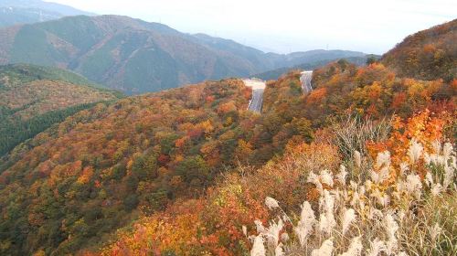 Hiking Mount Ibuki - A "Rewarding Scenic" Mountain Even Beginners Can Climb | Alpine Flowers in Full Bloom [Departing from Umeda/Shin-Osaka] Day Tours