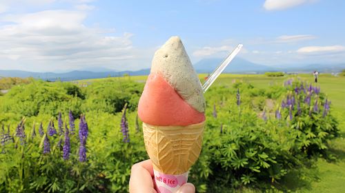 1-day tour to Lake Toya Fireworks Festival – Fukidashi park