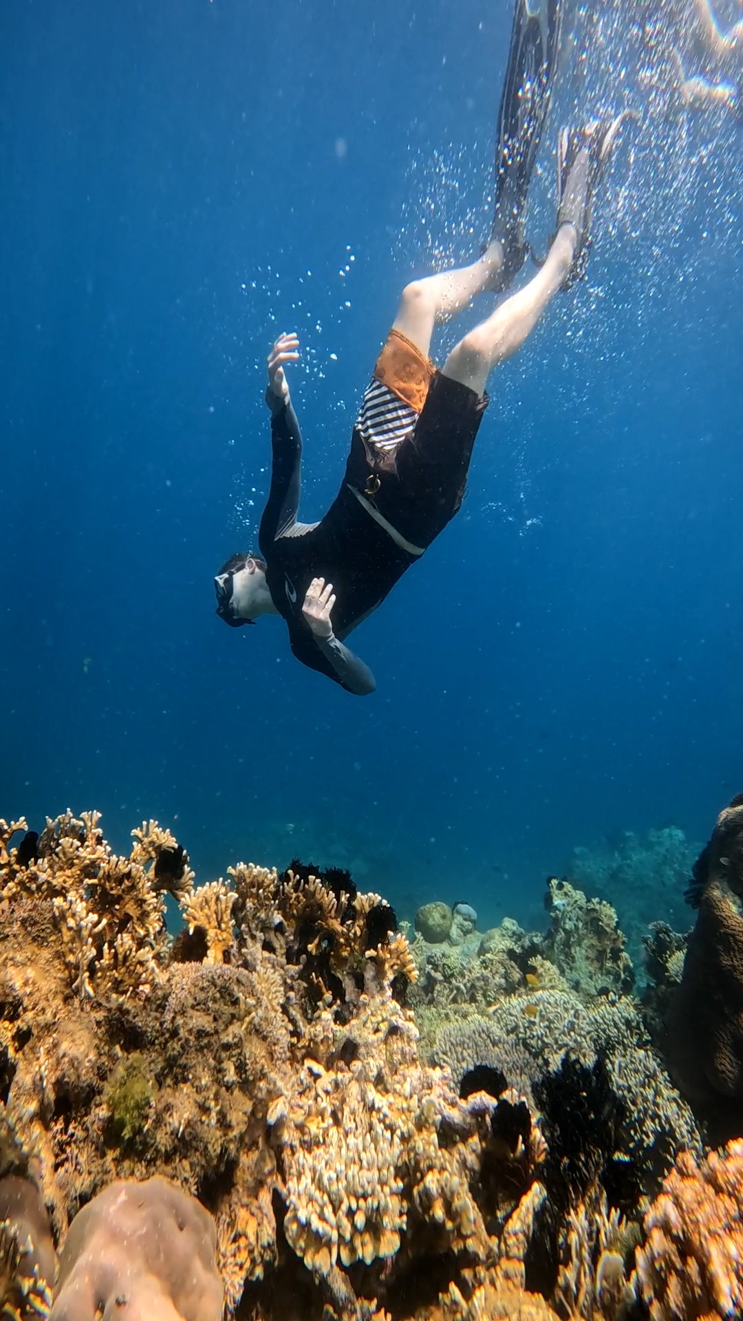 Secrate Island Private Snorkling Tour in lombok with go pro