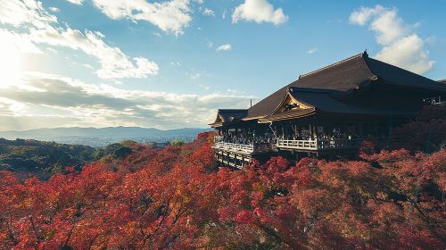 Full Day Tour of Kyoto with Private Transportation Day Tours