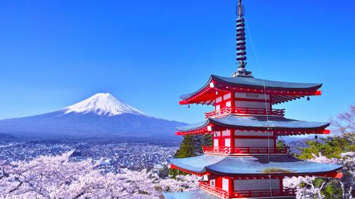 [Popular Scenic Spots] Day Trip to Popular Instagrammable Spots near Mt. Fuji, Sky Ladder Town, Lake Kawaguchi Day Tours