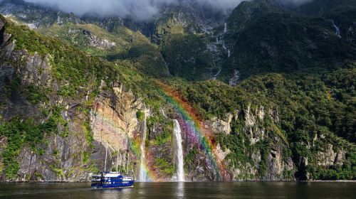 Milford Sound Scenic Cruises
