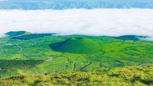 Kyushu 1-Day Tour from Fukuoka: Kamikashima Kumano Shrine, Mount Aso & Kurokawa Onsen