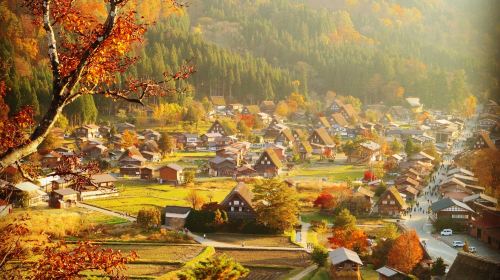 1-Day Tour to Hida Takayama & Shirakawa-go (Hida Beef Lunch