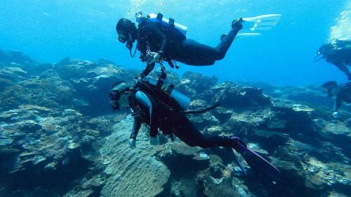 Taitung Orchid Island Experience diving Scuba diving 2 hours
