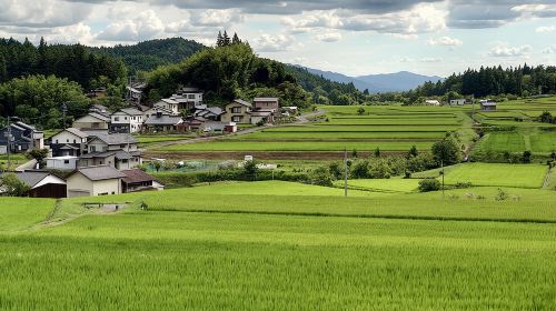 1-Day Tour from Matsumoto: Walk the Nakasendo Trail Day Tours