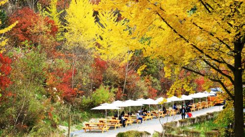 (10 hrs) Private charter for Chuncheon route in South Korea – Chuncheon