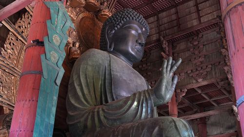 Nara Early Morning Tour (Kyoto or Osaka Departure Available) Day Tours