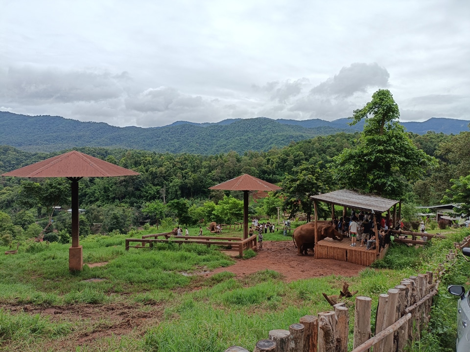 Join Tour Monjam + Elefin Farm + Cypress Lanes + Wat Pha Lat + Doi sutep