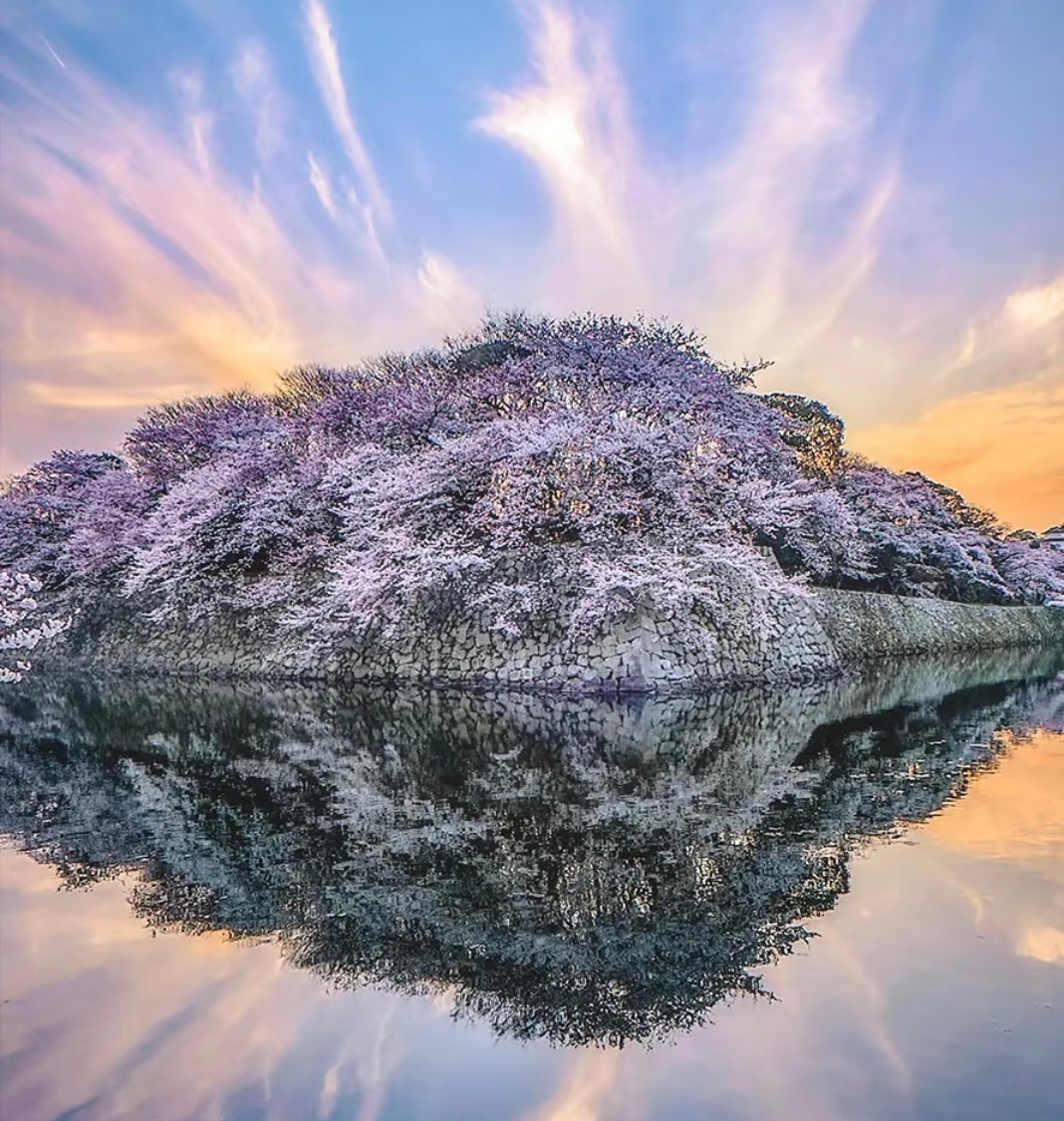 Four Seasons Biwa Lake & La Collina Omihachiman & Nara 1-Day Tour