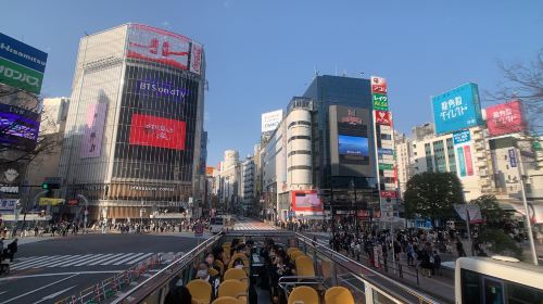 Tokyo Kamakura Day Tour: Enoshima Electric Railway & Tokyo Sky Hop Bus|Small group (9 people) Day Tours