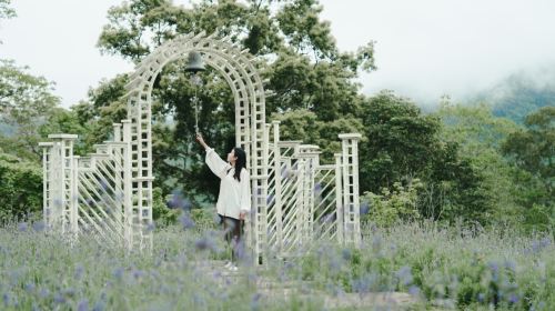 Lavender Forest Jianshi Store