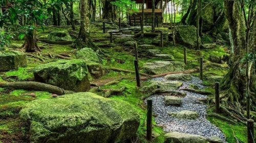 Shiga Prefecture Lake Biwa day tour