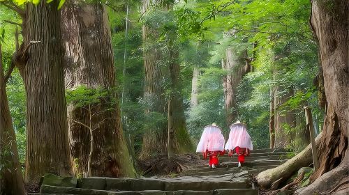 1-day tour of Kumano-Kodo Nakahechi Pilgrimage Route light hiking in Nagoya, Japan