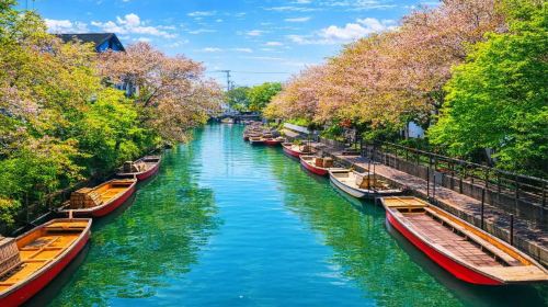 1-day tour to Yanagawa Itoshima couple stones, Ichiran ramen, cruise, Shiraito Falls and Dazaifu