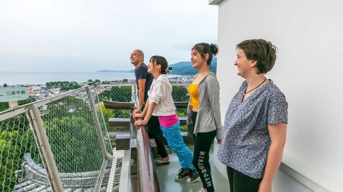 Odawara: Odawara Castle Tenshukaku Entrance Ticket Day Tours