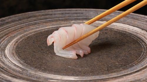 Sushi in Tokyo | Sushi Gotoroppo | Omakase Sushi & All-You-Can-Eat Wagashi