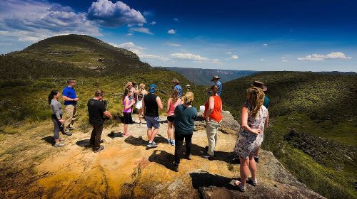 Blue Mountains Deluxe Small-Group Eco Wildlife Tour from Sydney Day Tours