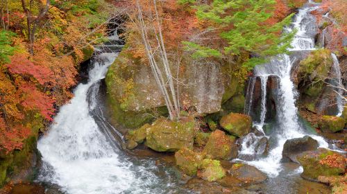 Nikko Toshogu Shrine Day Tours